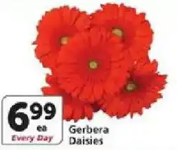 Vons Gerbera Daisies offer