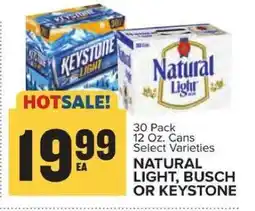 Food Lion NATURAL LIGHT, BUSCH OR KEYSTONE offer