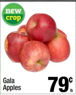 Super King Markets Gala Apples offer