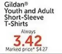 Hobby Lobby Gildan youth and adult short-sleeve t-shirts offer