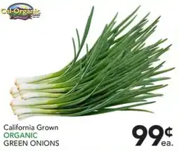 Pete's Fresh Market Cal-Organic California Grown Organic Green Onions offer