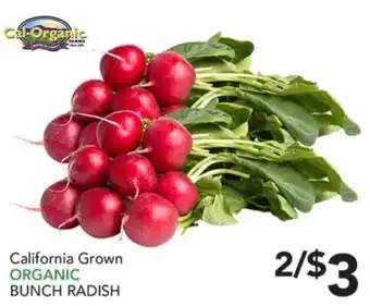Cal-Organic Bunch Radish