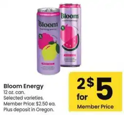 Albertsons Bloom Energy offer