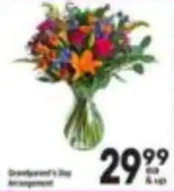 Tom Thumb Grandparent's Day Arrangement offer