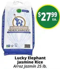 Rancho Markets Lucky Elephant Jasmine Rice offer
