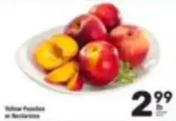 Tom Thumb Yellow Peaches or Nectarines offer