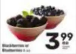 Tom Thumb Blackberries or Blueberries offer