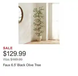 Costco Faux 6.5' Black Olive Tree offer