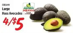 Rouses Creamy large hass avocados offer
