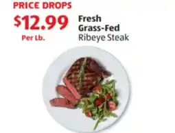Aldi Fresh Grass-Fed Ribeye Steak offer