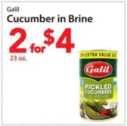 Three Guys from Brooklyn Galil Cucumber in Brine offer