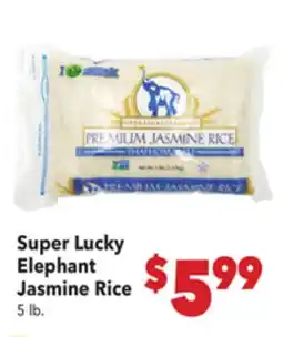 Vallarta Supermarkets Super Lucky Elephant Jasmine Rice offer