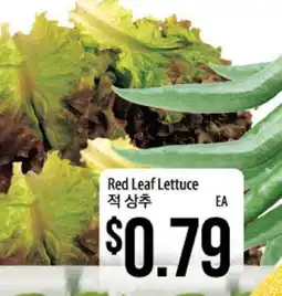 Hmart Red Leaf Lettuce offer