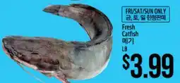 Hmart Fresh Catfish offer