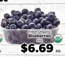 Living Fresh Market Fresh Organic Blueberries offer