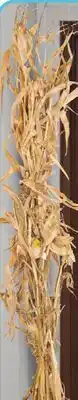 Menards Corn Shocks FALL DECOR offer