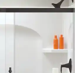 Menards Ensemble Shower offer