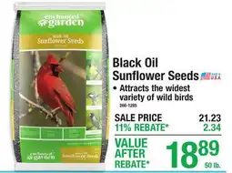 Menards Black Oil Sunflower Seeds offer