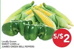 Pete's Fresh Market Locally Grown SWEET CORN or JUMBO GREEN BELL PEPPERS offer