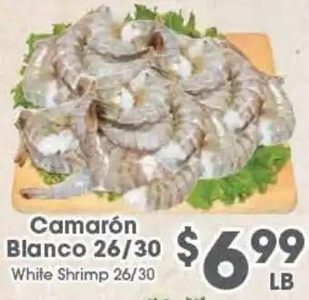 White Shrimp