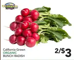 Pete's Fresh Market California Grown ORGANIC BUNCH RADISH offer