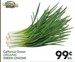Pete's Fresh Market California Grown ORGANIC GREEN ONIONS offer