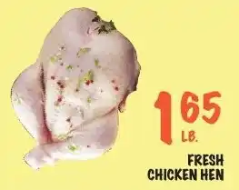 Fresh Chicken Hen