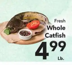 Eurofresh Market Fresh Whole Catfish offer