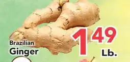 Eurofresh Market Brazilian Ginger offer