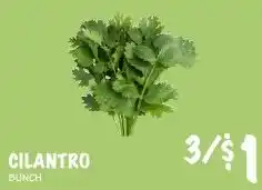Foodarama Cilantro Bunch offer