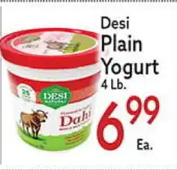 World Fresh Market Desi Plain Yogurt offer