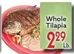 World Fresh Market Whole Tilapia offer