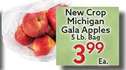 World Fresh Market New Crop Michigan Gala Apples offer