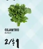 Foodarama Cilantro Bunch offer