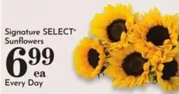 Pavilions Signature Select Sunflowers offer