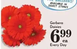 Pavilions Gerbera Daisies offer