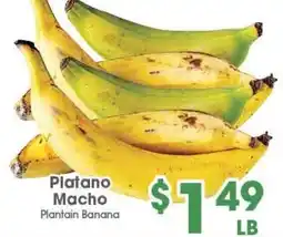 Arteagas Food Center Platano Macho Plantain Banana offer