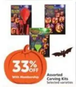 Pavilions Assorted Carving Kits offer