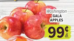 Cermak Fresh Market Washington GALA APPLES offer
