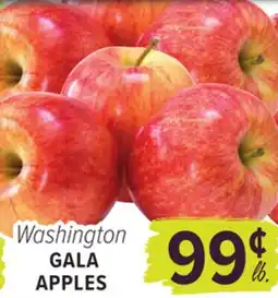 Cermak Fresh Market Washington GALA APPLES offer