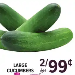 Cermak Fresh Market LARGE CUCUMBERS offer