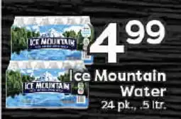 Rich's Fresh Market Ice Mountain Water offer
