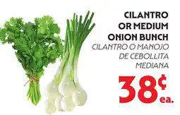 La Chiquita Food Market CILANTRO OR MEDIUM ONION BUNCH offer