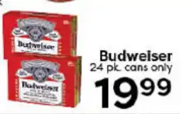Rich's Fresh Market Budweiser offer