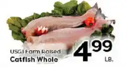 Rich's Fresh Market USGI Farm Raised Catfish Whole offer