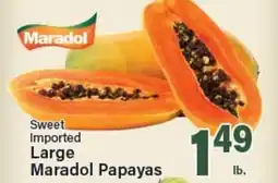 Angelo Caputo's Fresh Market Sweet Imported Large Maradol Papayas offer