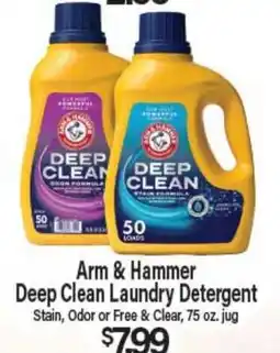 Angelo Caputo's Fresh Market Arm & Hammer Deep Clean Laundry Detergent offer