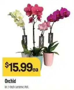 Raley's Orchid offer