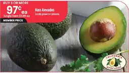 Raley's Hass Avocados offer