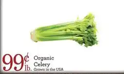 Yoke's Fresh Market Organic Celery offer
